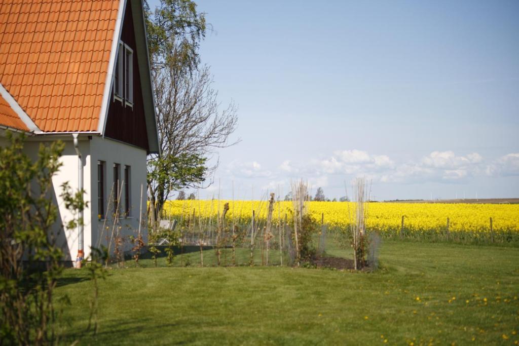 Hobykrok B&B Lund Exteriér fotografie