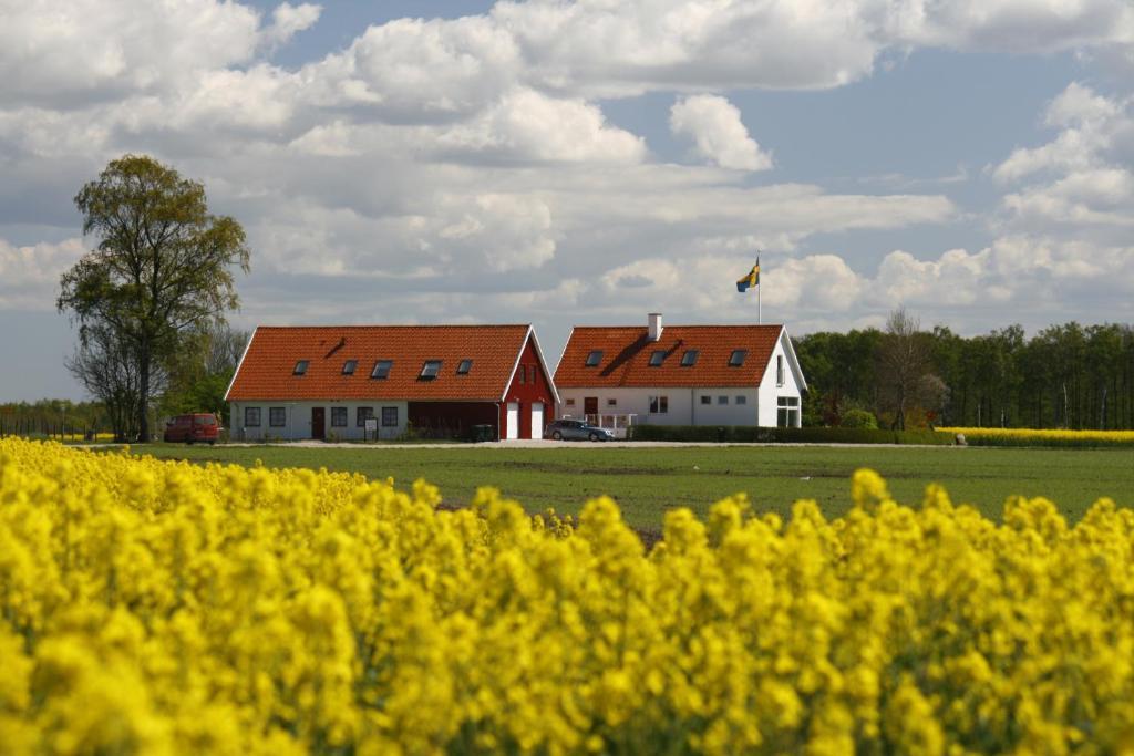 Hobykrok B&B Lund Exteriér fotografie